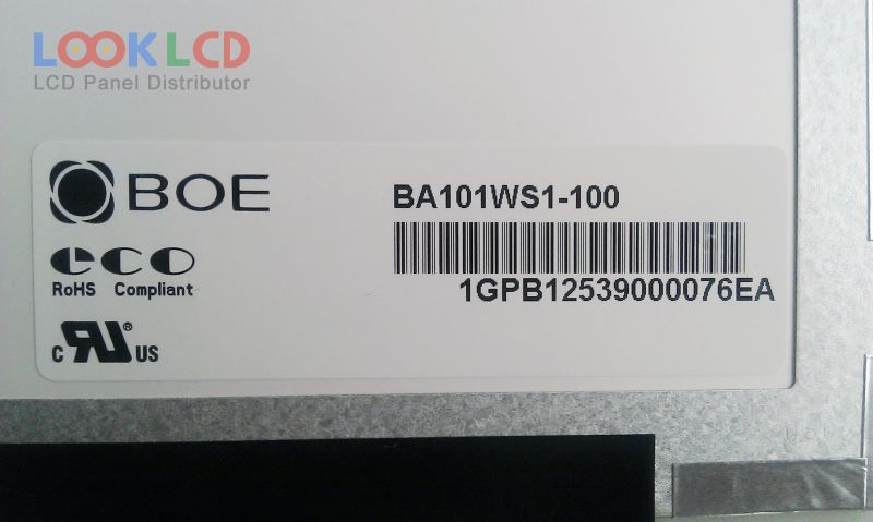 BA101WS1-100