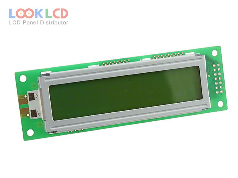 DMC-20261NYJ-LY-CKE-CNN
