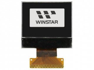 WEO009664AR